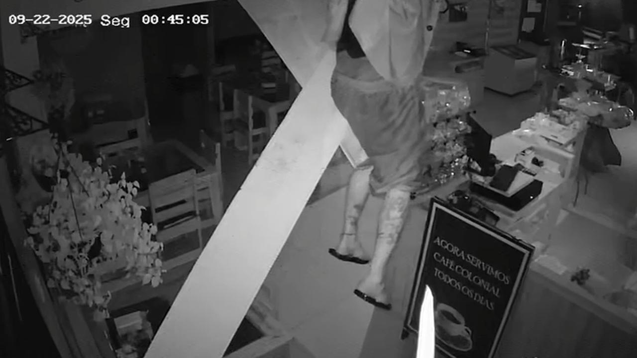 Ladrão ousado entra pelo teto e furta panificadora no Cascavel Velho