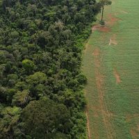 Brasil apresenta soluções de financiamento climático em Nova York Imagem referente a Brasil apresenta soluções de financiamento climático em Nova York