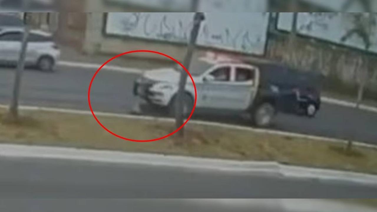 Viatura da PM atropela cachorro e não presta socorro
