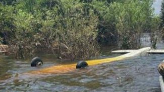 FAB intercepta aeronave suspeita procedente do Peru FAB intercepta aeronave suspeita procedente do Peru