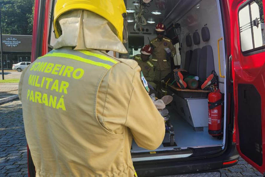 Paraná registra onda de ataques de cães; donos podem ser presos por omissão