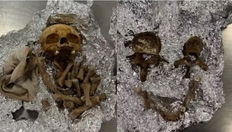 Ritual macabro: Homem é detido com restos humanos e plantas proibidas na bagagem