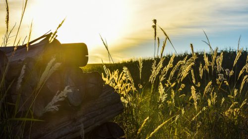 Quinta ensolarada com máxima de 27ºC em Cascavel