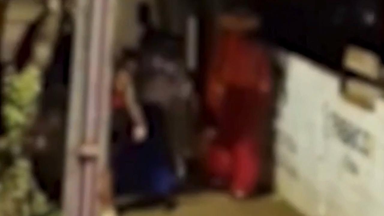 Ladrão apanha do Fofão ao tentar assaltar Carreta Furacão