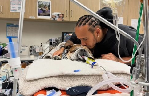 Imagem referente a Roscoe sofreu parada cardíaca, relata Lewis Hamilton