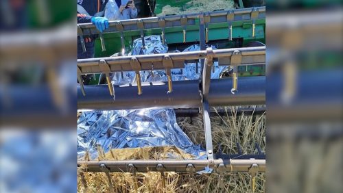 Homem morre ao tentar desobstruir máquina agrícola Imagem referente a Homem morre ao tentar desobstruir máquina agrícola