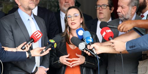 Presidenta do PSOL tem visto cancelado pelos Estados Unidos Imagem referente a Presidenta do PSOL tem visto cancelado pelos Estados Unidos