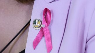 Hoje é Dia destaca Outubro Rosa, dia dos idosos e proteção aos animais Hoje é Dia destaca Outubro Rosa, dia dos idosos e proteção aos animais