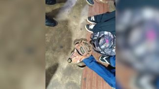Terminal Leste: Veja como foi a ação do Policial Madril que terminou com drogas apreendidas