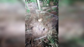 Veja local da cova rasa onde José Fabio Scheffer de Castilho foi localizado Veja local da cova rasa onde José Fabio Scheffer de Castilho foi localizado