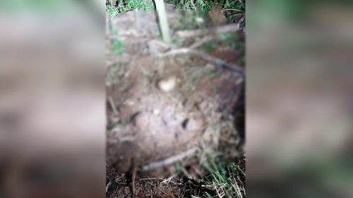 Veja local da cova rasa onde José Fabio Scheffer de Castilho foi localizado Imagem referente a Veja local da cova rasa onde José Fabio Scheffer de Castilho foi localizado