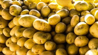 Batata, ovos e verduras reduzem pressão inflacionária em agosto em SP Batata, ovos e verduras reduzem pressão inflacionária em agosto em SP