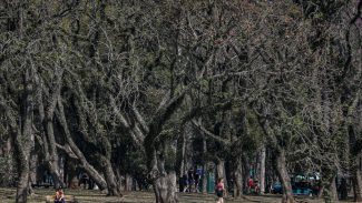 Cidade de São Paulo tem agosto mais seco desde 2020 Cidade de São Paulo tem agosto mais seco desde 2020