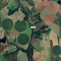 Imagem referente a Cerrado brasileiro perdeu 28% da vegetação nativa em 40 anos