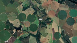 Cerrado brasileiro perdeu 28% da vegetação nativa em 40 anos Cerrado brasileiro perdeu 28% da vegetação nativa em 40 anos