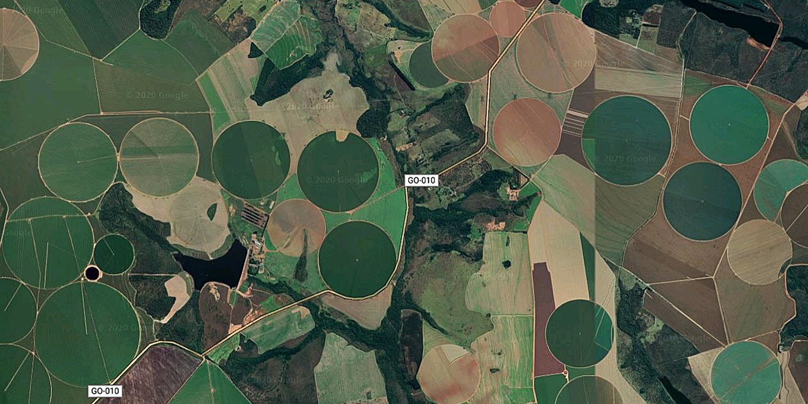 Cerrado brasileiro perdeu 28% da vegetação nativa em 40 anos