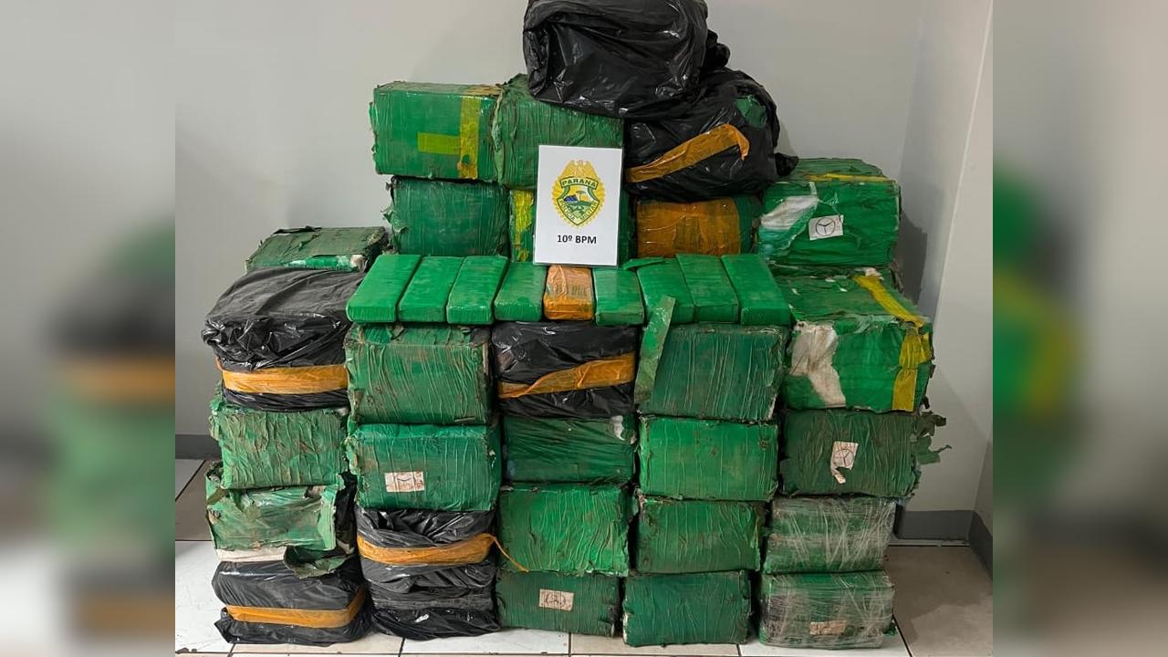 Operação conjunta apreende mais de uma tonelada de maconha em propriedade rural em Califórnia