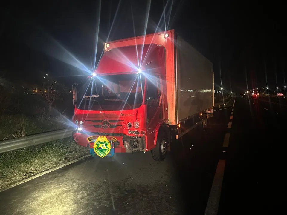 Cavalo invade pista e morre atropelado por caminhão na madrugada na PR-444
