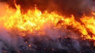 Brigadistas combatem incêndio em Cavalcante, Goiás