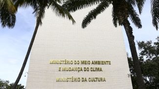 MinC quer transformar escolas de samba em pontos de cultura