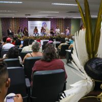 Imagem referente a Povos tradicionais debatem transformação agroecológica