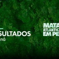 Oitava edição da Operação Mata Atlântica em Pé apresenta os resultados de 2025 das ações de fiscalização no Paraná Imagem referente a Oitava edição da Operação Mata Atlântica em Pé apresenta os resultados de 2025 das ações de fiscalização no Paraná