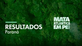 Oitava edição da Operação Mata Atlântica em Pé apresenta os resultados de 2025 das ações de fiscalização no Paraná Oitava edição da Operação Mata Atlântica em Pé apresenta os resultados de 2025 das ações de fiscalização no Paraná
