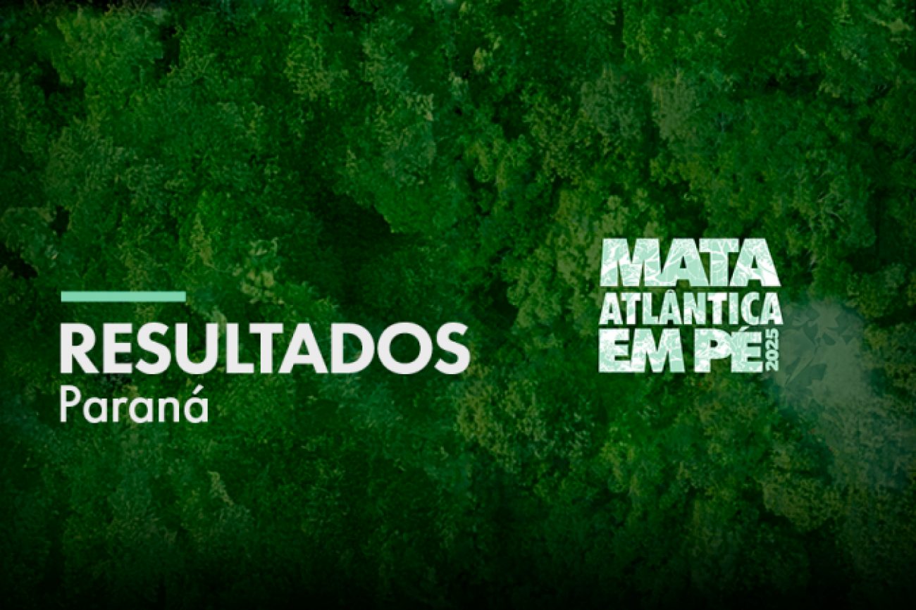Oitava edição da Operação Mata Atlântica em Pé apresenta os resultados de 2025 das ações de fiscalização no Paraná
