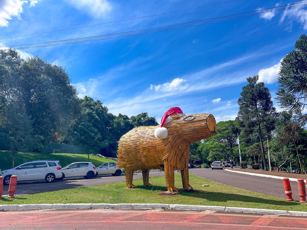 Cascavel firma contrato de R$ 1,2 milhão para decoração natalina em bambu