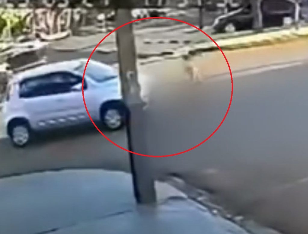 Milagre em Ubiratã: criança sobrevive após ser arrastada por carro e passar por cirurgia; veja o vídeo