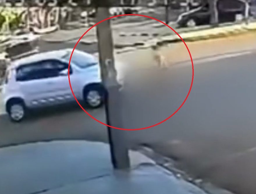 Milagre em Ubiratã: criança sobrevive após ser arrastada por carro e passar por cirurgia; veja o vídeo