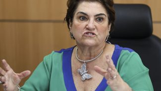 Governo quer secretarias da Mulher em todos os estados até fim do ano Governo quer secretarias da Mulher em todos os estados até fim do ano