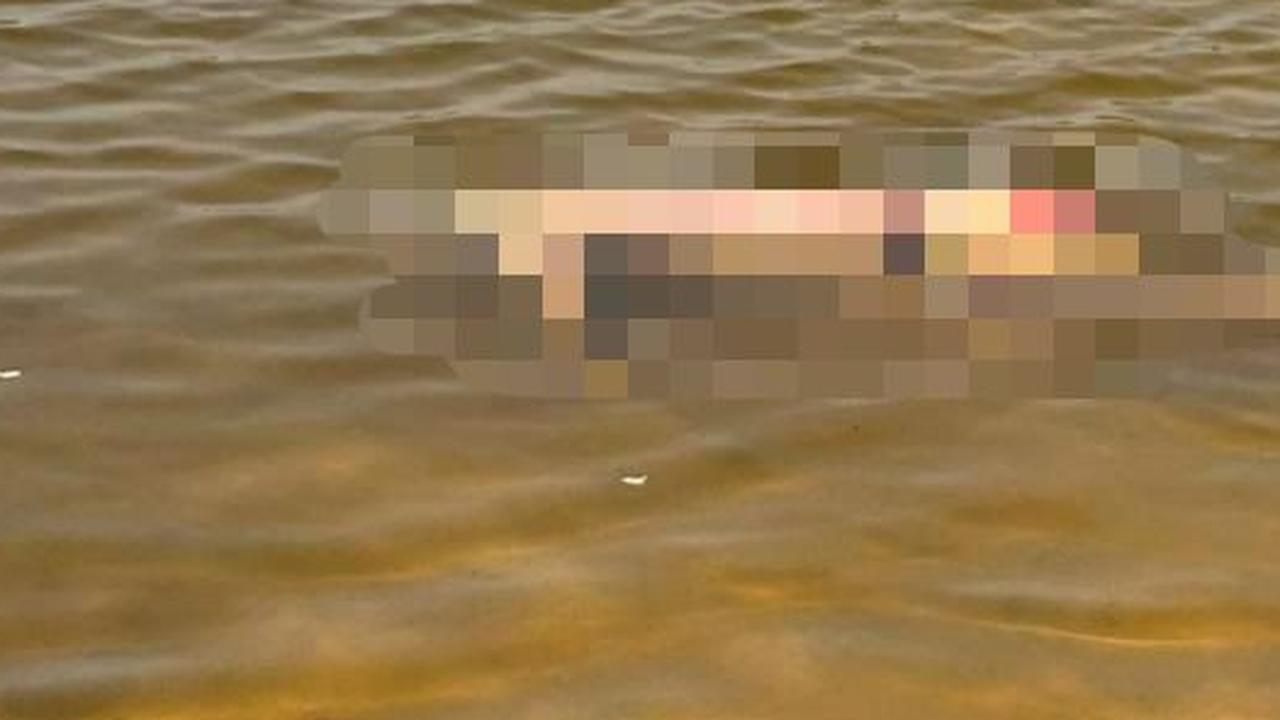 Macabro: adolescentes são suspeitos de matarem homem espancado