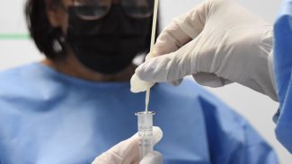 Covid-19 causou metade das mortes por vírus respiratórios em 4 semanas