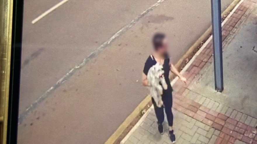 Você viu o Marshal? Família do Bairro Maria Luiza procura por cachorrinho resgatado