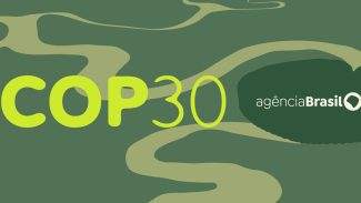 Especialistas buscam mais poder de decisão da ciência na COP30 Especialistas buscam mais poder de decisão da ciência na COP30