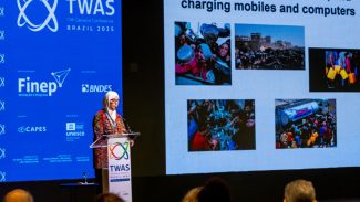 Professora de Gaza destaca esforço para manter ensino em meio à guerra Professora de Gaza destaca esforço para manter ensino em meio à guerra