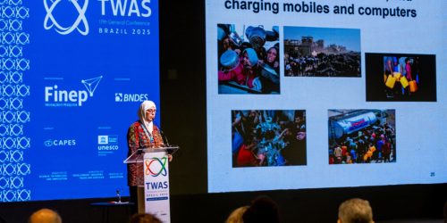 Professora de Gaza destaca esforço para manter ensino em meio à guerra Imagem referente a Professora de Gaza destaca esforço para manter ensino em meio à guerra