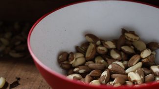 Agricultura familiar do Nordeste vai à maior feira mundial alimentos Agricultura familiar do Nordeste vai à maior feira mundial alimentos