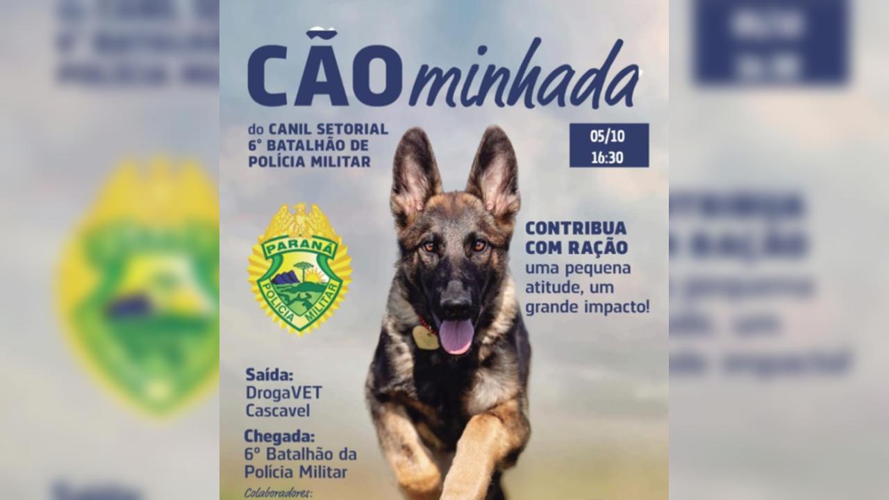 "Cãominhada" acontece neste domingo (5) em Cascavel