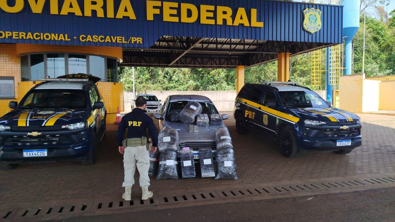 PRF detalha grandes apreensões de maconha e cocaína em Cascavel PRF detalha grandes apreensões de maconha e cocaína em Cascavel