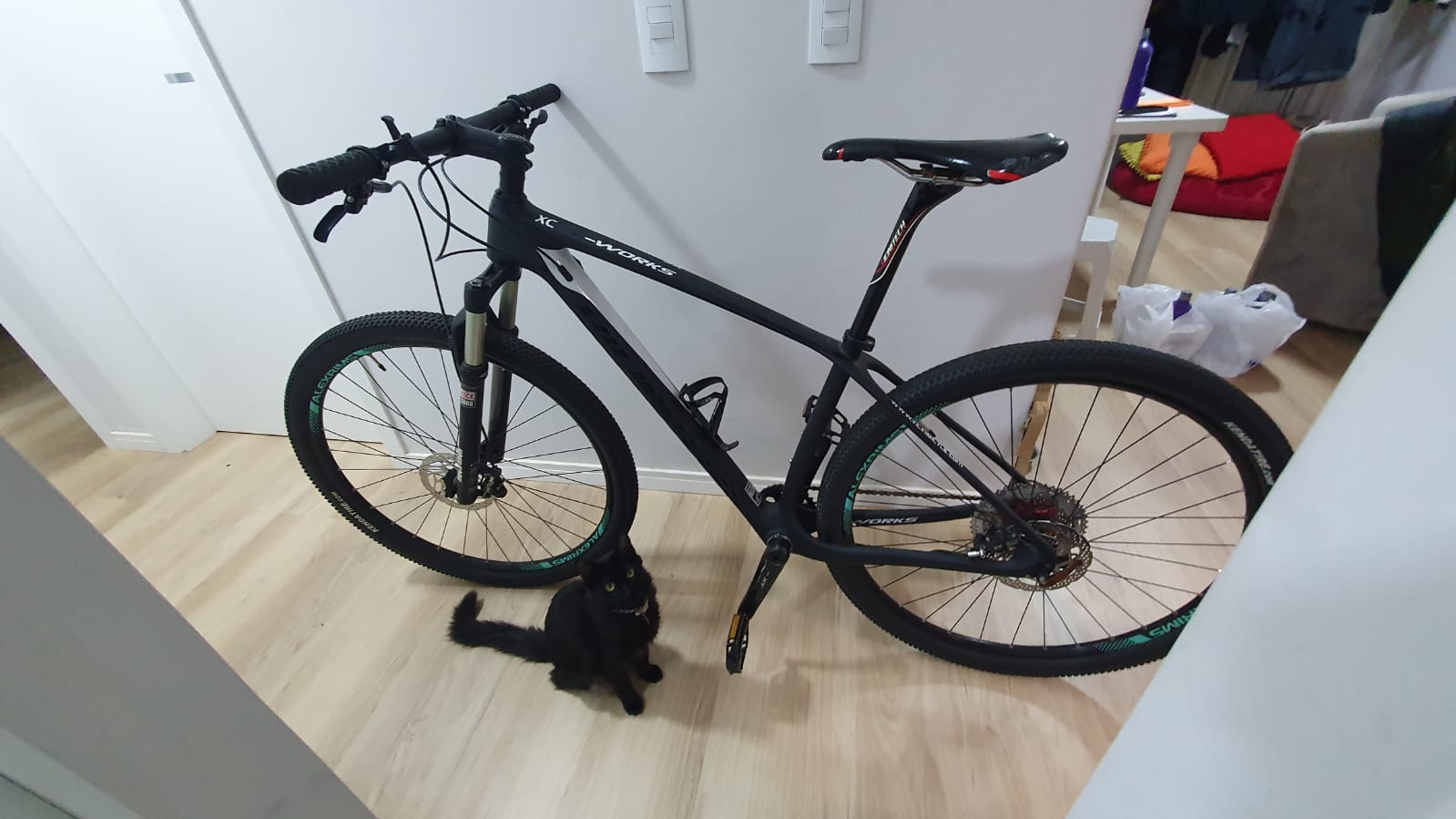 Bicicleta é furtada em estacionamento na Rua Paraná