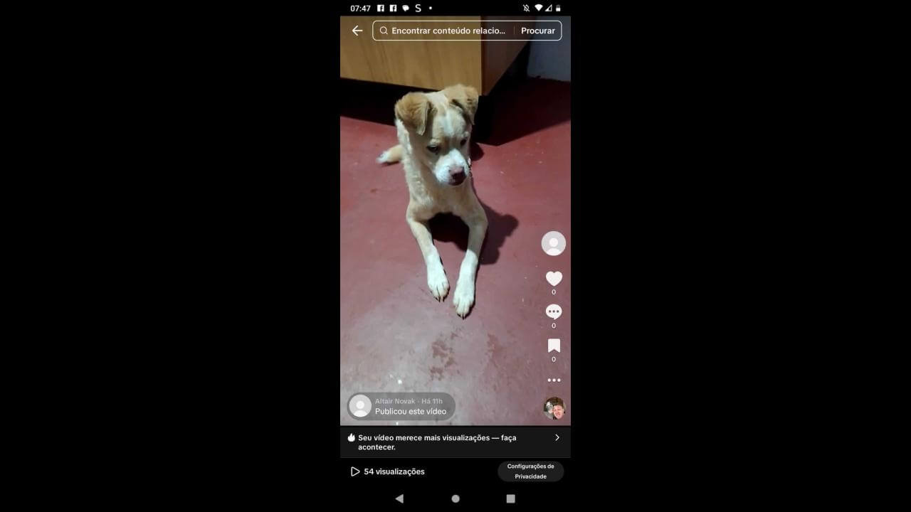 Cachorro é encontrado no bairro Santos Dumont Cachorro é encontrado no bairro Santos Dumont
