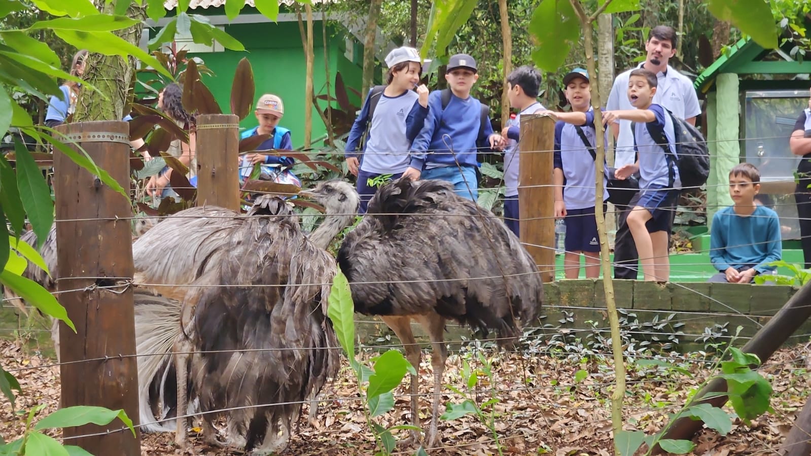 Semana das Crianças: zoológico com programação especial para escolas Semana das Crianças: zoológico com programação especial para escolas