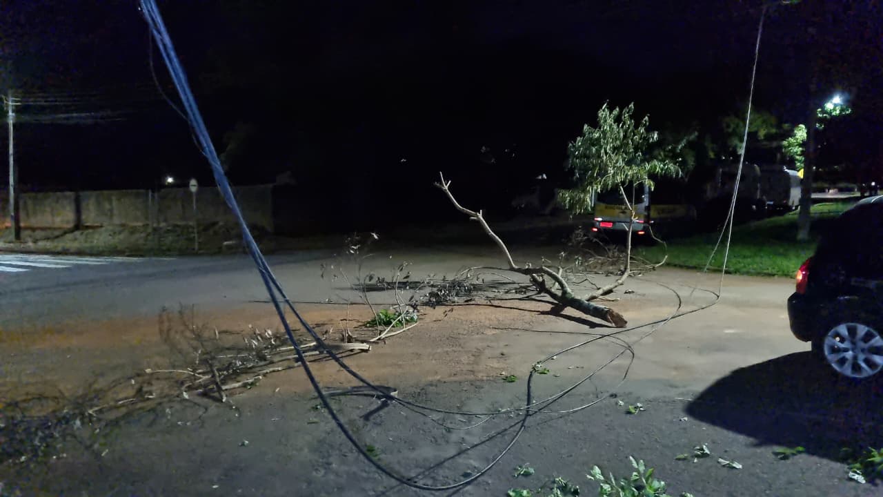 Veículo derruba cabos de telefonia e sinalização é improvisada no Centro de Cascavel