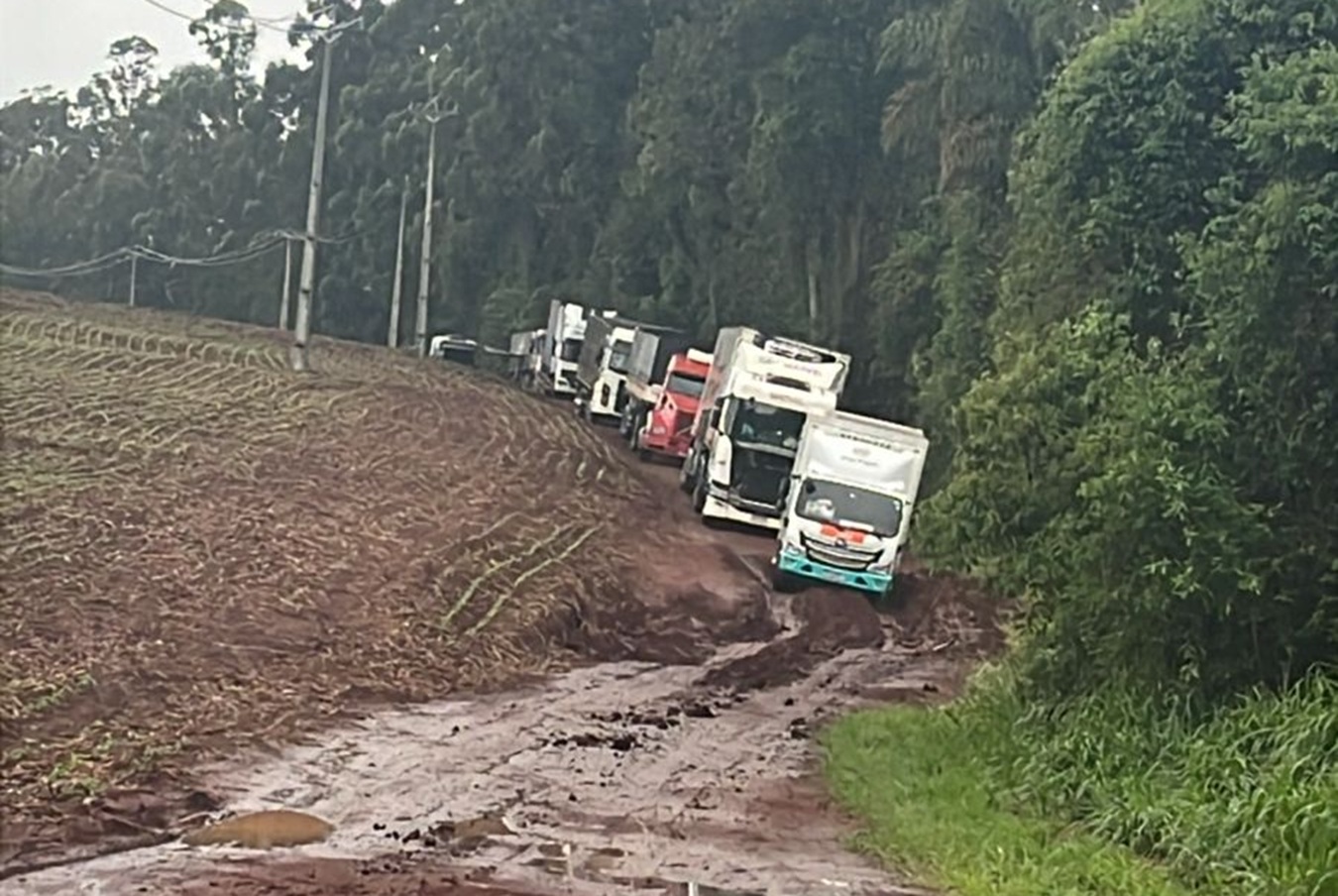 Caminhões ficam atolados em estrada de chão após desvio na BR-369 Caminhões ficam atolados em estrada de chão após desvio na BR-369