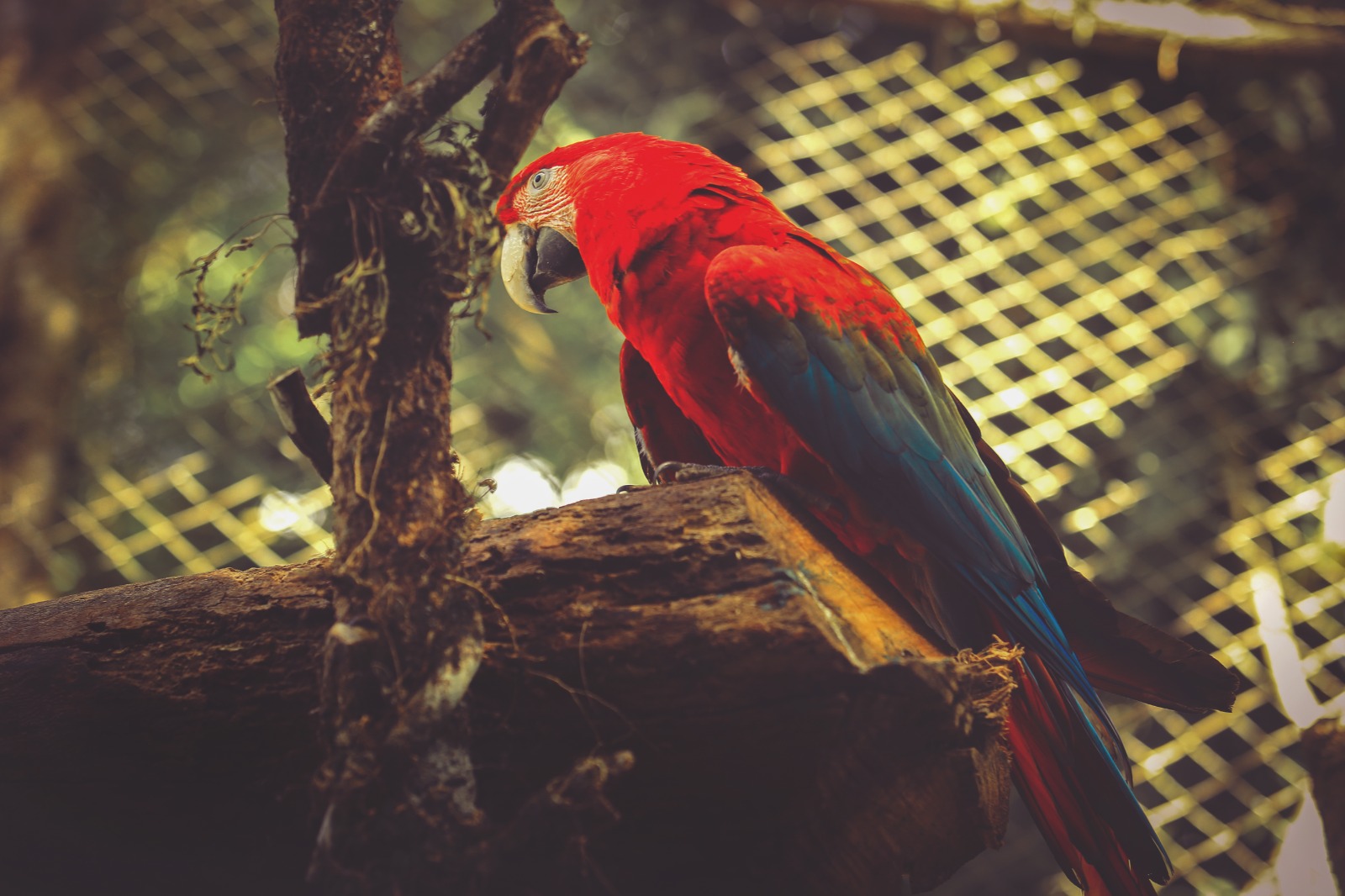 Programação especial em alusão ao Dia das Crianças no Zoológico será antecipada para sábado