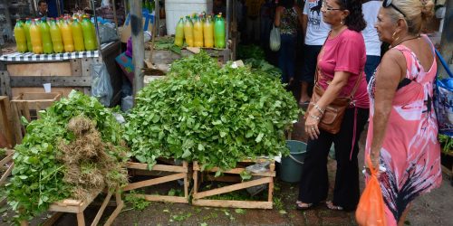 Imagem referente a Mercado do Povo levará mercados modulares a pequenas cidades