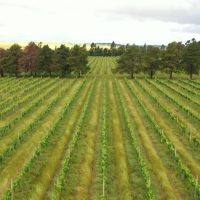 Imagem referente a CMN restringe linha especial de R$ 12 bilhões a produtores do RS