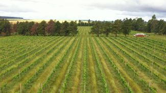 CMN restringe linha especial de R$ 12 bilhões a produtores do RS